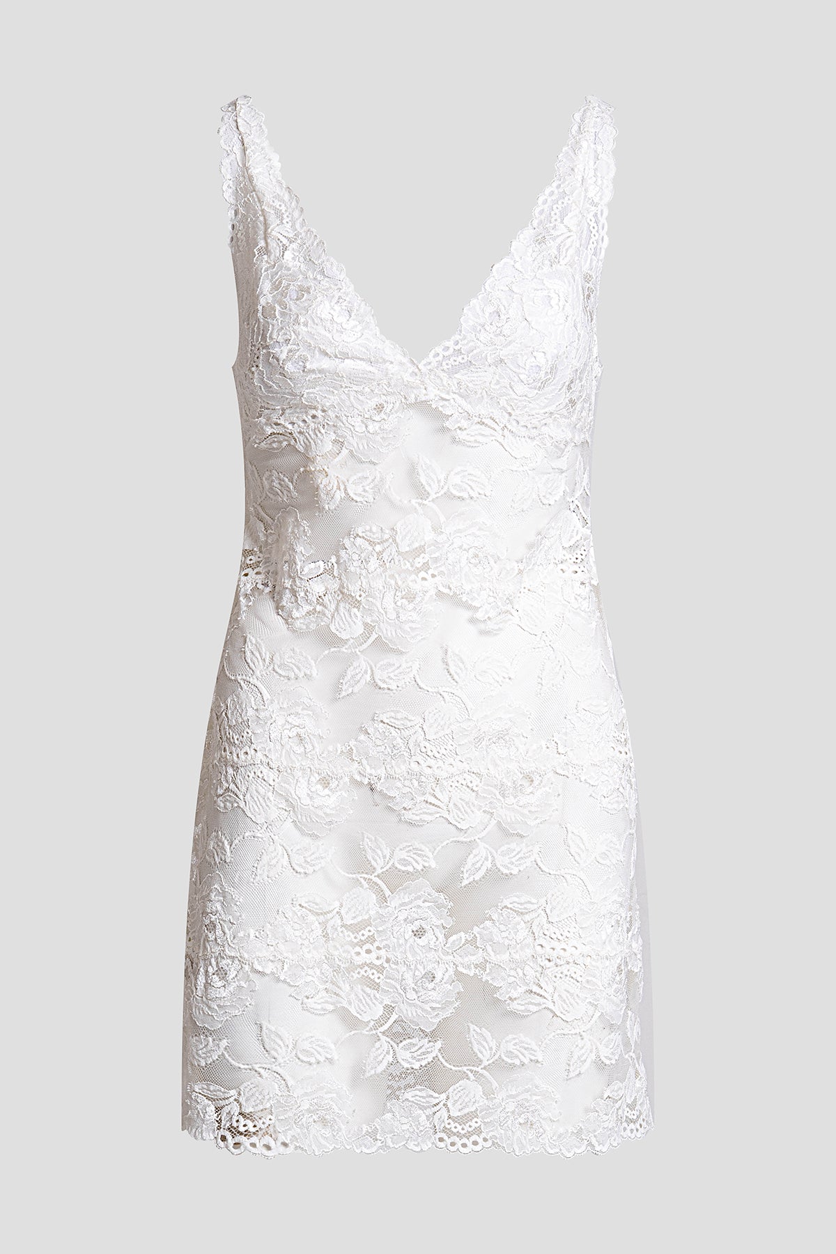 Buy Imagine Allover Lace Chemise in Warm White Online Warm White