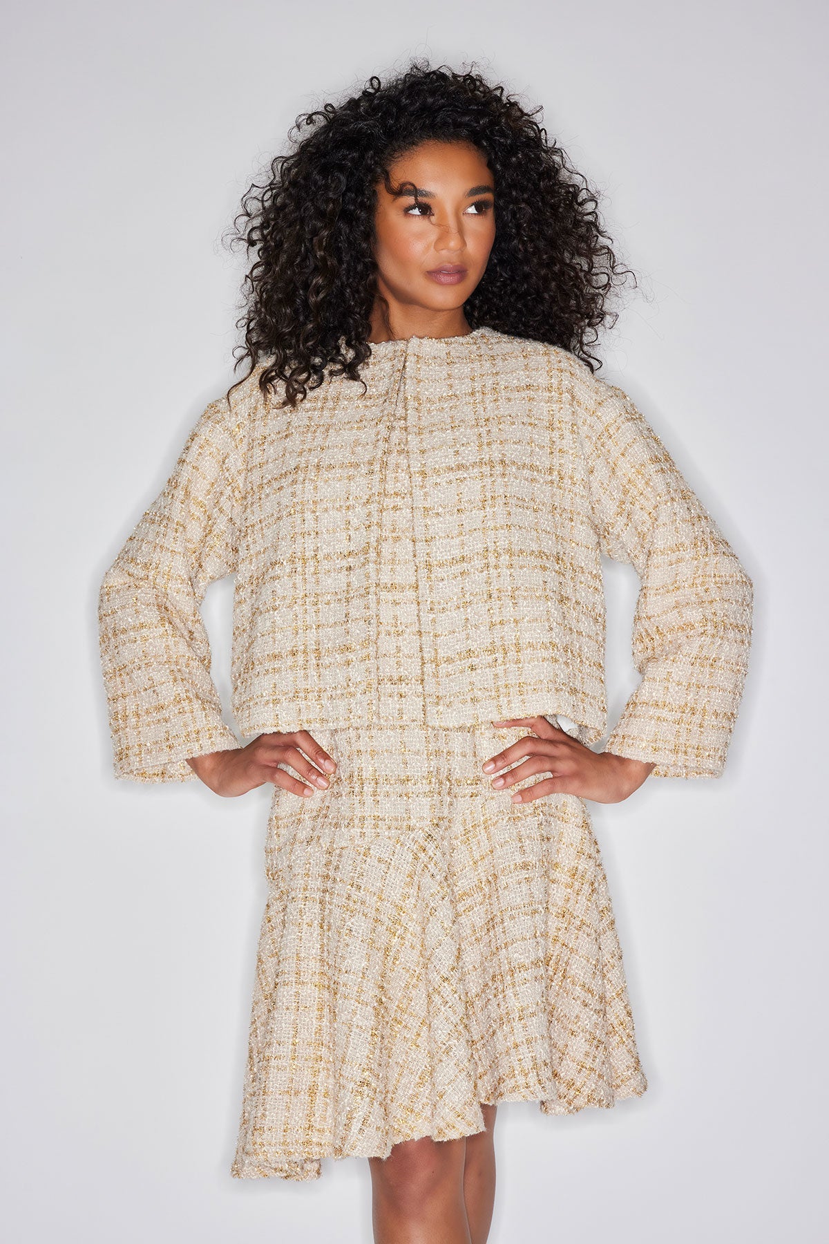 Sparkle Tweed Cropped Jacket Champagne