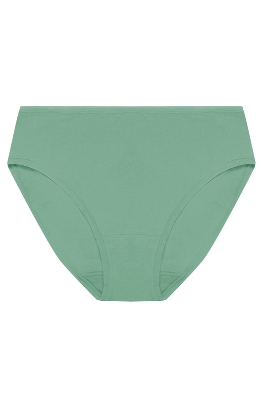 Bliss Bare Cotton Hipster Frosty Spruce
