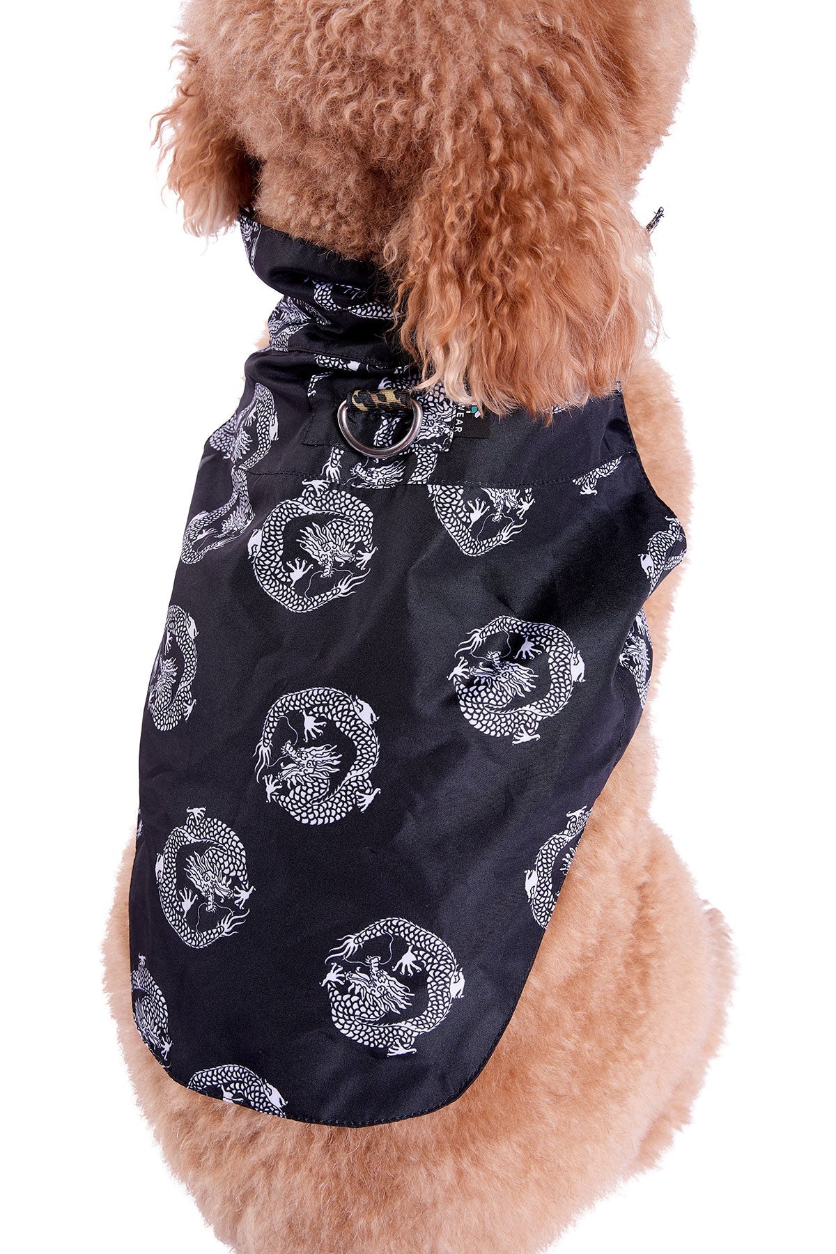 Dragon Camp Shirt Black