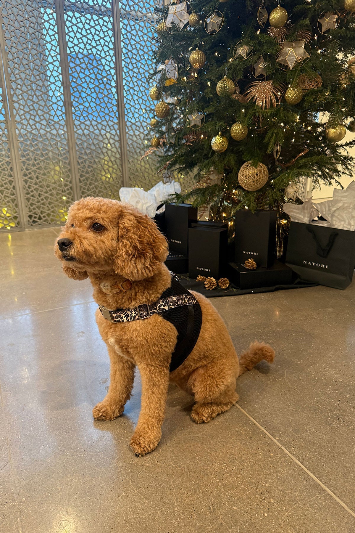 Luxe Leopard Dog Harness Chestnut