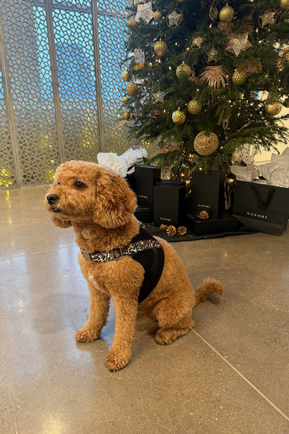 Luxe Leopard Dog Harness Chestnut