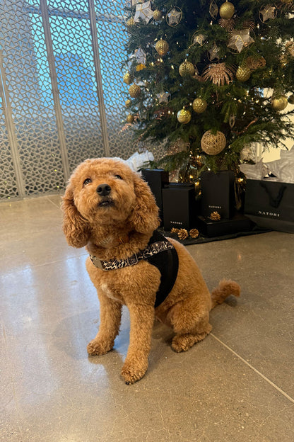 Luxe Leopard Dog Harness Chestnut