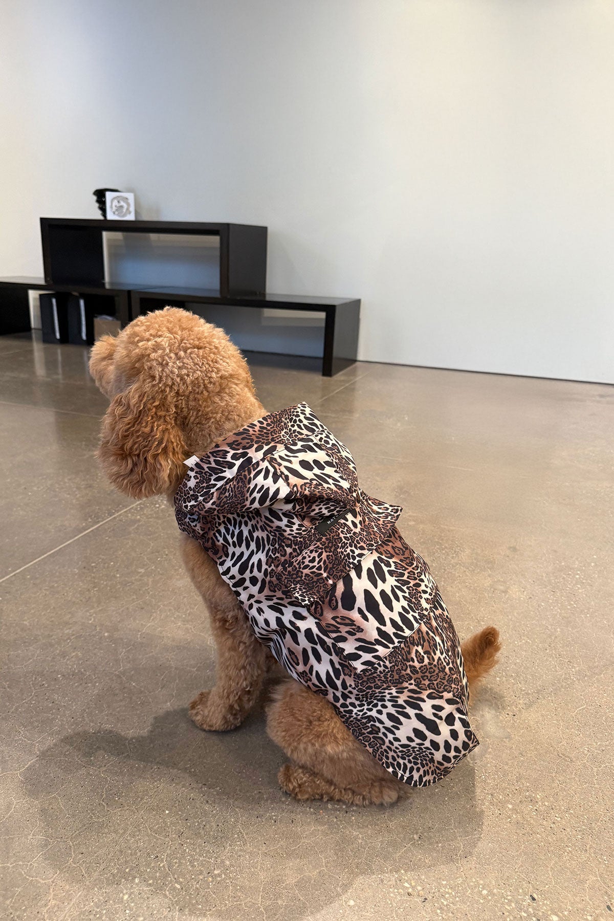 Luxe Leopard Raincoat Chestnut
