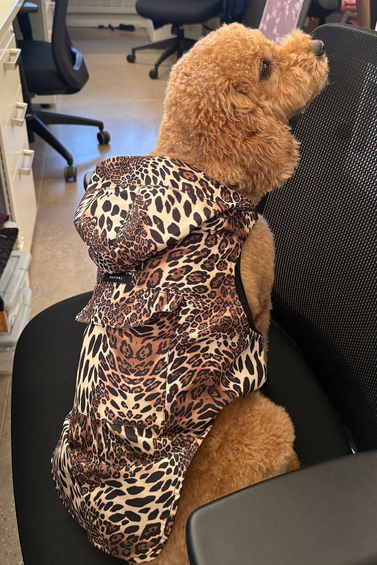 Luxe Leopard Raincoat Chestnut