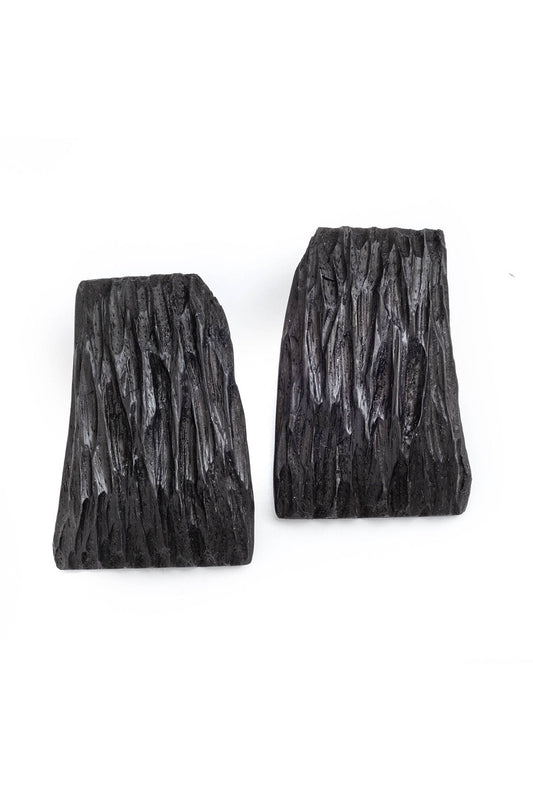 Acacia Wood Abstract Earrings Black